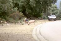 013_09.jpg (5521 octets)