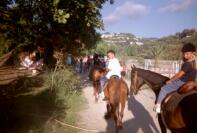 024_20.jpg (6943 octets)