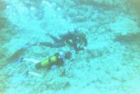 015_12a.jpg (5369 octets)