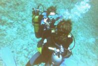 016_13a.jpg (6562 octets)