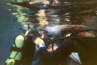 020_17a.jpg (6037 octets)