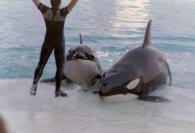 025_21a.jpg (4790 octets)