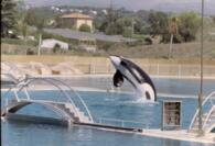 026_22a.jpg (6493 octets)