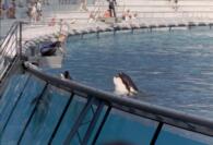 027_23a.jpg (6133 octets)